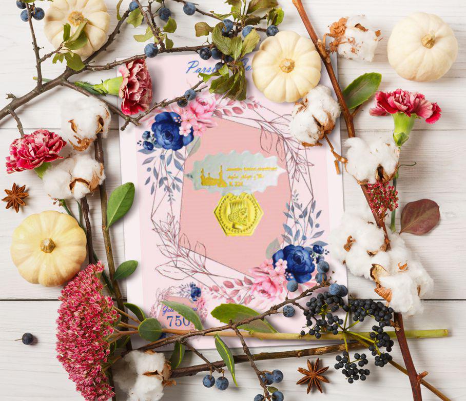 سکه پارسیان